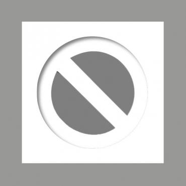 Pochoir logo stationnement interdit